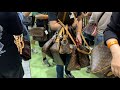 Luxury bags and Jewelry sale🇯🇵Sicchy Charity Fair 2024/シッチーのチャリティフェアLouis Vuitton,Chanel,Hermes Sale