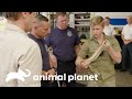 Visita aos bombeiros para falar de cobra | A Família Irwin: Robert ao resgate | Animal Planet Brasil
