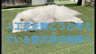 これから人工芝を敷こうと考えている愛犬家の皆様へ