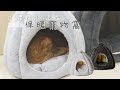 貓本屋 立體南瓜造型 保暖寵物窩(XL特大號) product youtube thumbnail