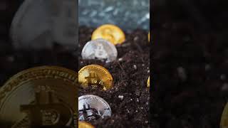 Крипта против контроля#децентрализация #биткойн #власть #финансы #crypto