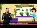 EVS_3 | Telugu | Friendly Leaves Part 2 | Lessons in Sign Language for H.I