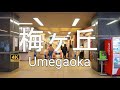 梅ヶ丘【4K】 小田急線梅ヶ丘駅の周辺を歩く　Walking around Umegaoka Station on the Odakyu Line