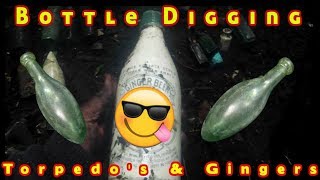 Bottle Digging Uk An Ultra Rare Pictorial Ginger Beer Belfast Hamiton Torpedo Bottle & More
