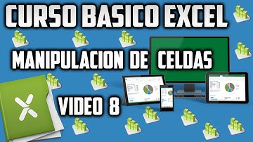 Excel 2016 – Insertar Filas y Columnas - Video 8