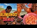 P2 - Tiba sa Alimango at Dawat