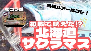 【北海道サクラマス】初戦で開花！自分の信じるルアーで HIT/道南日本海