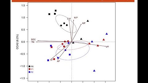 canonical correspondence analysis - CCA Past Software