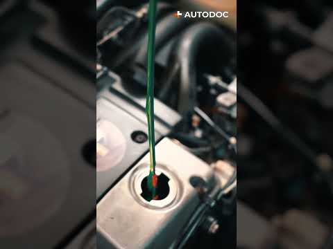 Conseil Pratique Comment Rajouter De L Huile Facilement AUTODOC Shorts