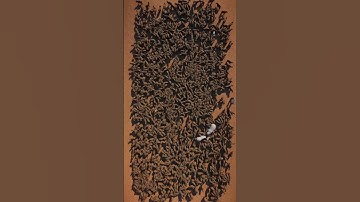 introducing 4 polar bears to 2800 capybaras #polarbear #capybara #planetzoo #timelapse #animals