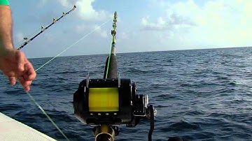 Rigging Station- Tips For Landing Big Sharks - CHAOS Rods