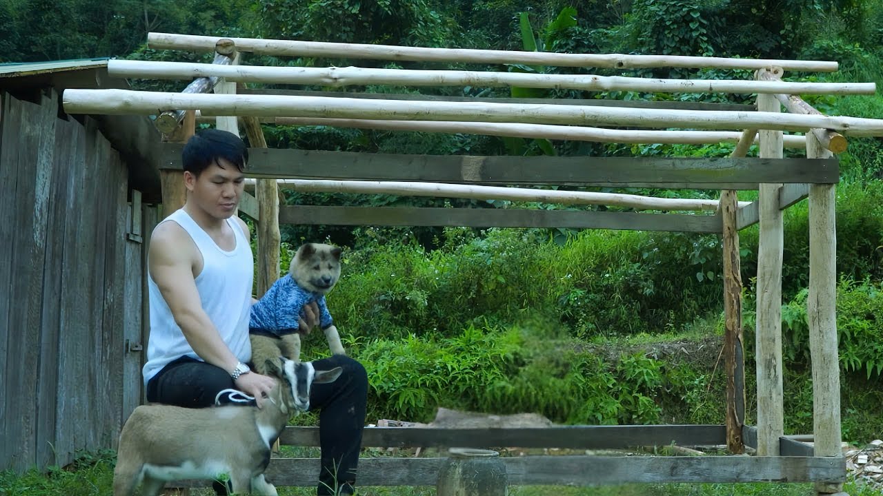 Генеральный директор прощается с городской жизнью и строит свой каменный дом для свободной жизни. Пр