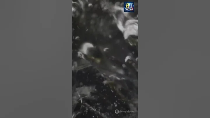 "Water That Boils and Freezes at the Same Time? 🤯"#shorts