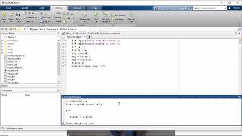Introducción al análisis complejo-Ejercicio 4-Raices complejas en MATLAB
