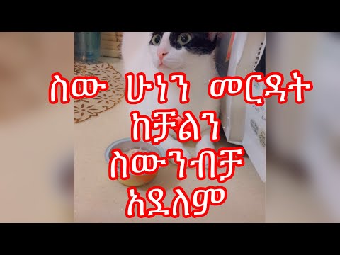 ቪዲዮ: እውነተኛ ትንሽ Mermaid: - ናዴዝዳ ሚካሃልኮቫ ቆንጆ ወገባዎ Khaን በካኪ የዋና ልብስ ውስጥ አበራች