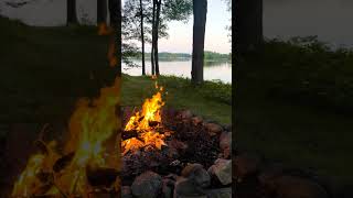 Freedom on the Loose  Campfire Chronicles!