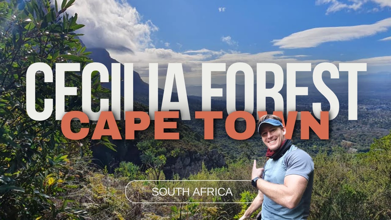 Chasing Waterfalls in Cape Town: Cecilia Forest Hiking