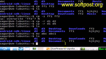 How to rename a file or directory in Bash
