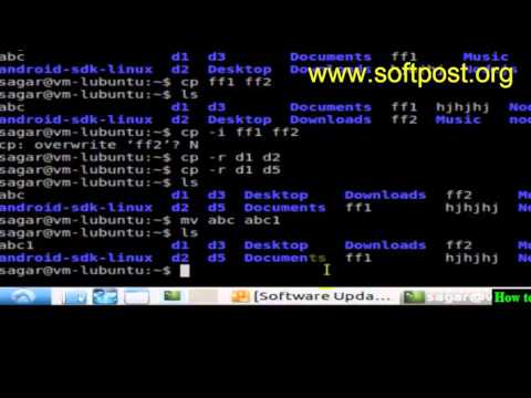 How to rename a file or directory in Bash