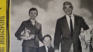 The Toy Tiger ( film 1956 Jeff Chandler Tim hovey larine day ) - In 500 words