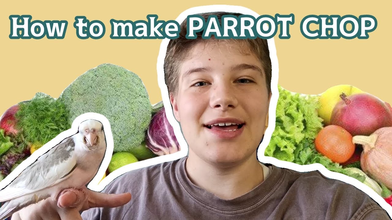 HOW TO MAKE PARROT CHOP // Healthy bird food YouTube
