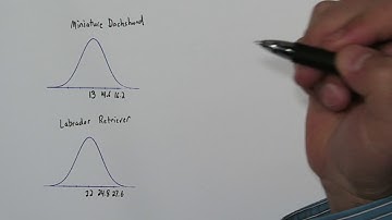 Comparing Z Scores: Who Did Relatively Better?