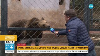видео: Мечок открадна и разглоби мобилен телефон на посетител в зоопарка в Стара Загора - Здравей, България картинка: Мечок открадна и разглоби мобилен телефон на посетител в зоопарка в Стара Загора - Здравей, България