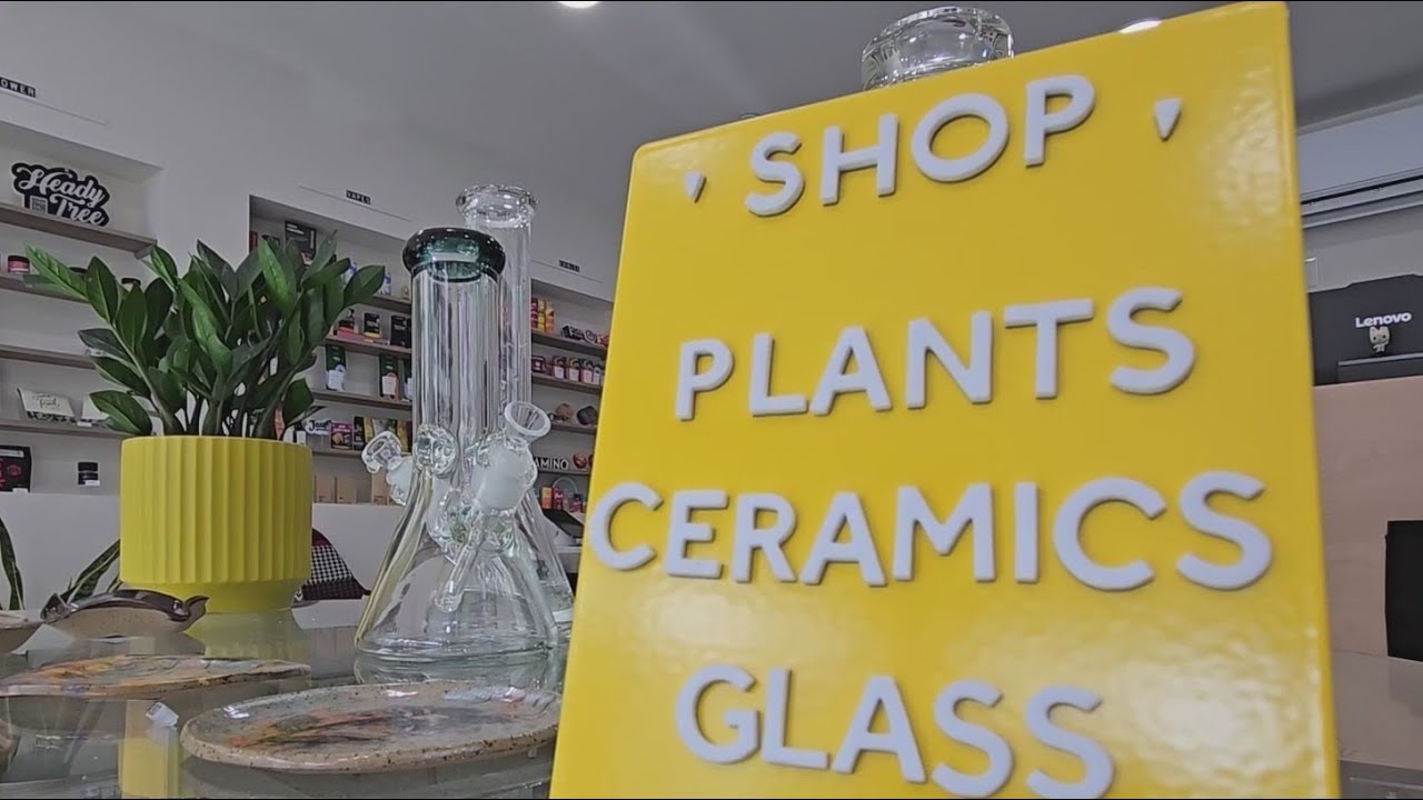 Brooklyn dispensary opens up for immigrants and LGBTQ+