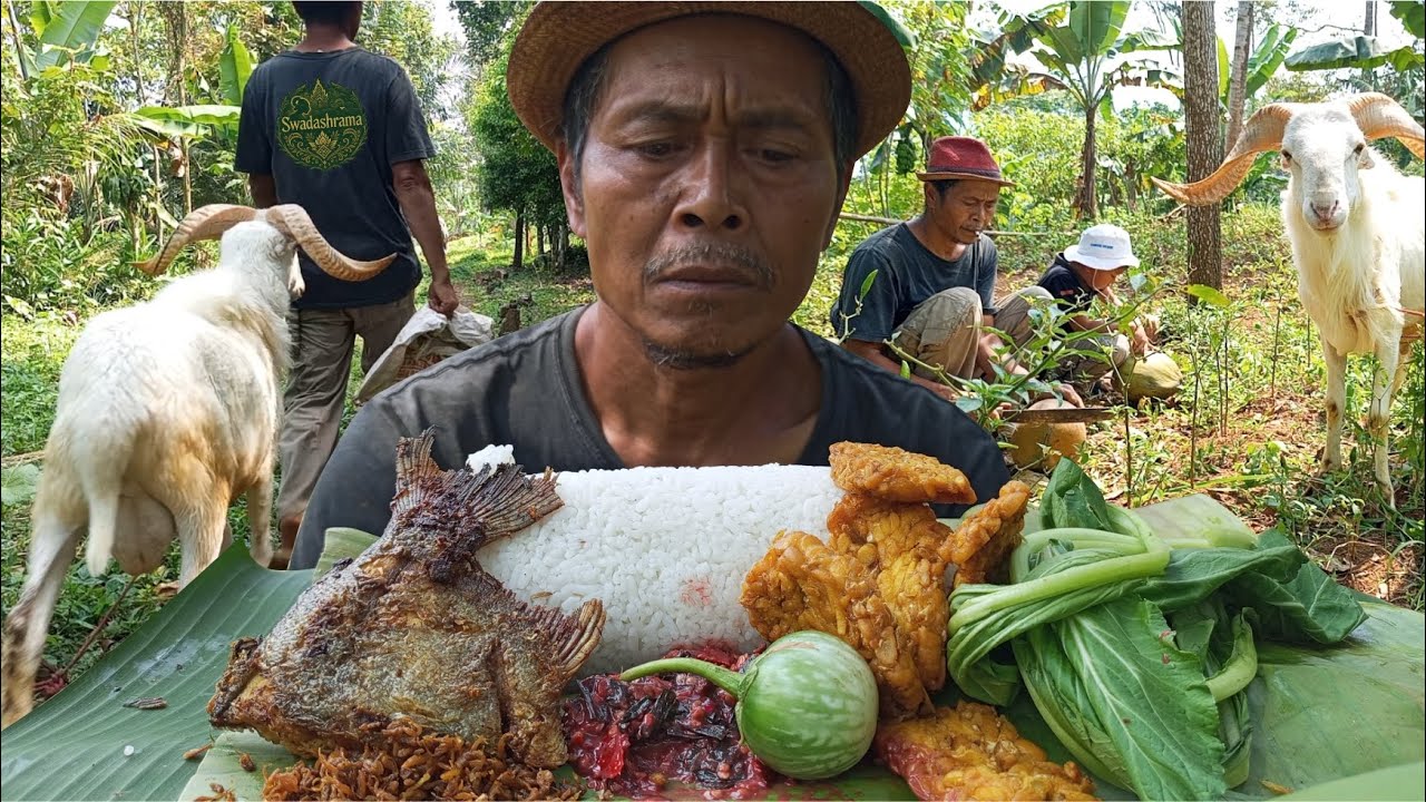 Makan Nasi Timeul di Kebun Sambil Ngarit
