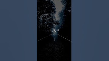 ووصينا الإنسان بوالديه حسنا - عبد الرحمن مسعد سورة العنكبوت #عبدالرحمن_مسعد #قرآن #الله #quran