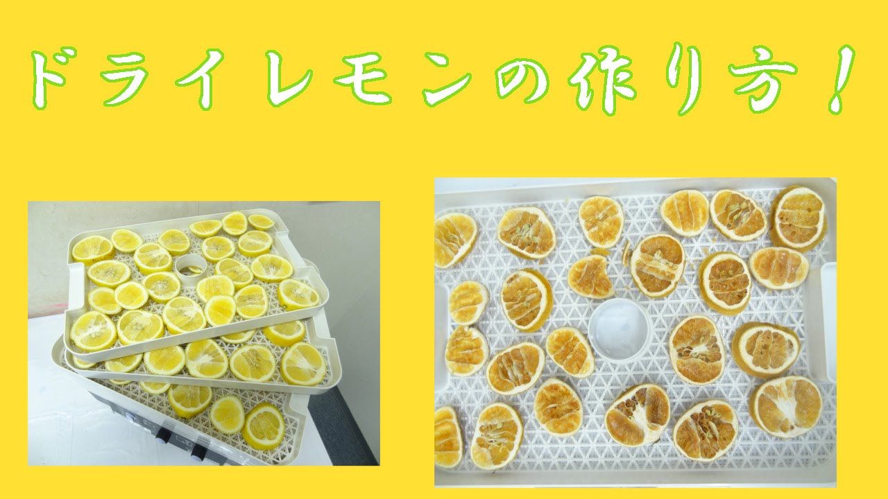果物乾燥機を使ってドライレモンの作り方 Youtube