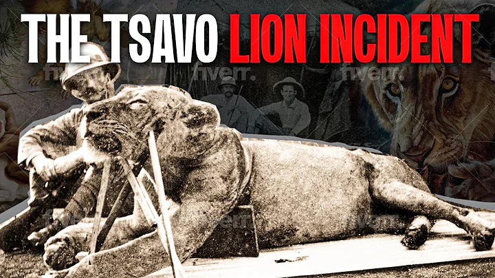 The Deadliest Lion Attack in History