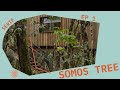 Ep 1  srie somos tree  tree content house