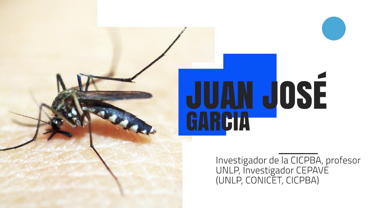 En cuanto tiempo se quita una picadura de mosquito