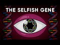What is the "Selfish Gene" or "Gene's Eye View" of evolution?