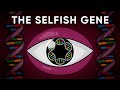 Gene's Eye View of Evolution Quiz