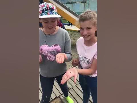 Сенсация!!! Об этом не знает никто!!! Из чего сделаны конфеты "КИСЛИЦА ...