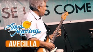 Agua Marina - Avecilla (En Vivo) chords