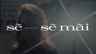 VSTRA - Sẽ-Sẽ Mãi Net Worth