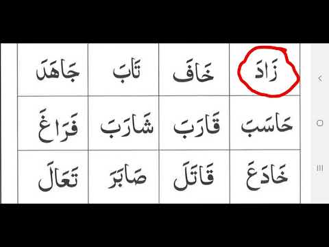 Cashirka 17aad Alifka Madka Basic Qaeda