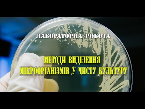 ТДАТУ Лабораторна робота.  Методи виділення мікроорганізмів Коляденко В. В.