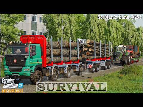 Survival in No Man's Land Ep.253🔹Finishing Stacking Timber & Transporting into The Sawmill🔹#FS22