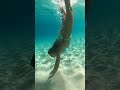mermaid brittany plays in the sand
