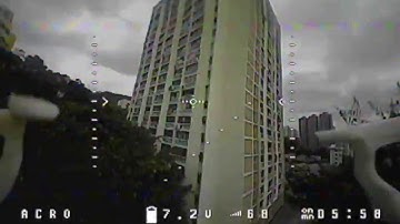 Lantian 90L in HK public housing