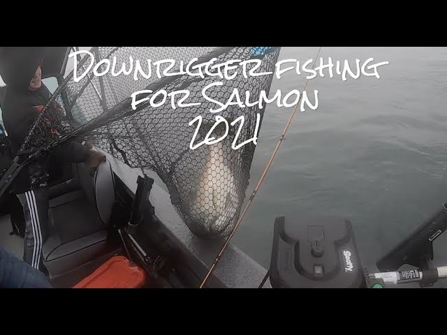 Basic SALMON Fishing Trolling Rig