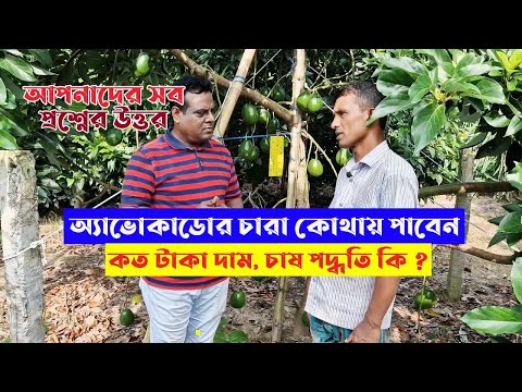 ভিডিও: আভাকাডো গাছকে কখন কলম করতে হয়?