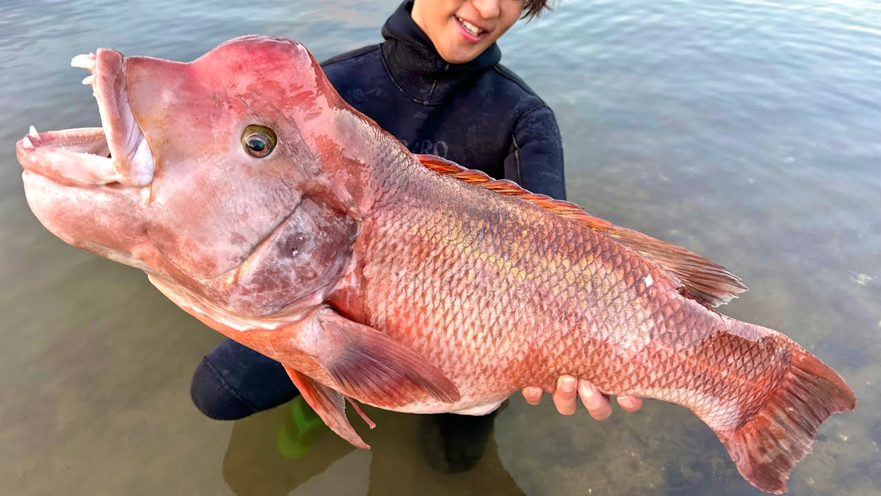 海水浴場にいたモンスターを食べてみると…