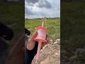 Thả diều ra dây diều bằng cuộn dây màu hồng tý nữa diều..#kite #patang #layangan #shorts #pipa #凧
