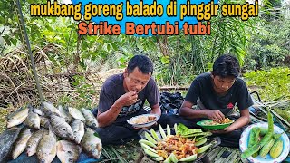 A SERIOUS STRIKE IN A BELIEF-SUITABLE SWAMP || FRIED BALADO