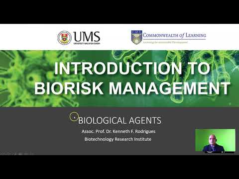 Wideo: Środki biofizjologiczne in vivo?